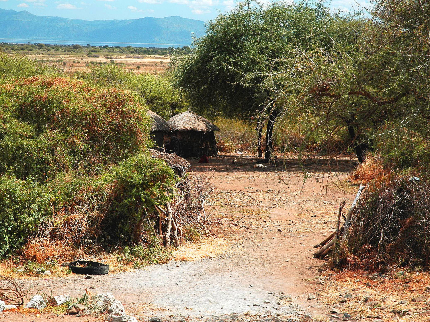 Arusha - Masaai Village at Boma - 826.jpg